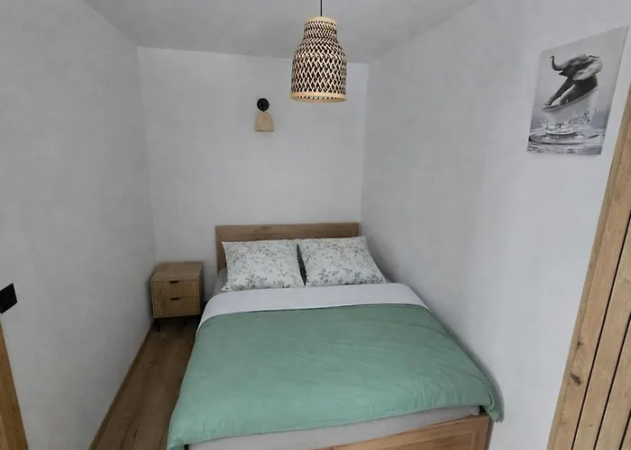 Апартаменты Z Kominkiem W Starej Kamiennicy Przygorze