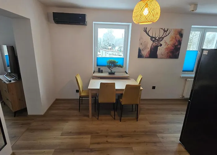 Z Kominkiem W Starej Kamiennicy Апартаменты